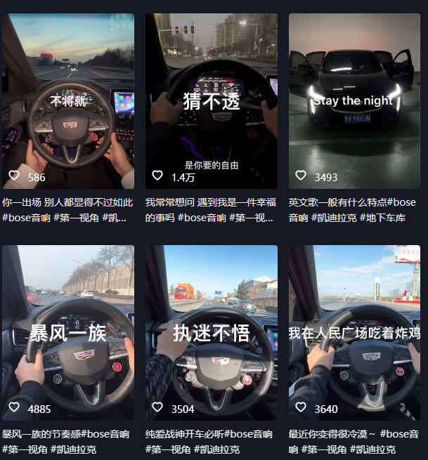 <strong>抖音</strong>开车视频项目，0基础操作，每天五分钟，月入1W+