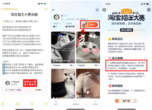 淘宝猫王大赛投喂得最高666亓