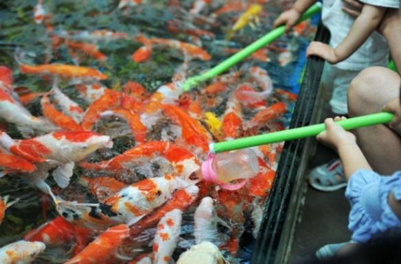 火了很多年,月利润3W+的暴利项目