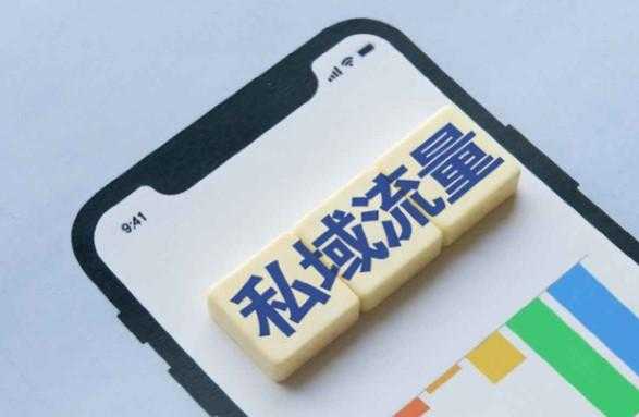 私域0基础入门课，全面掌握私域运营知识 